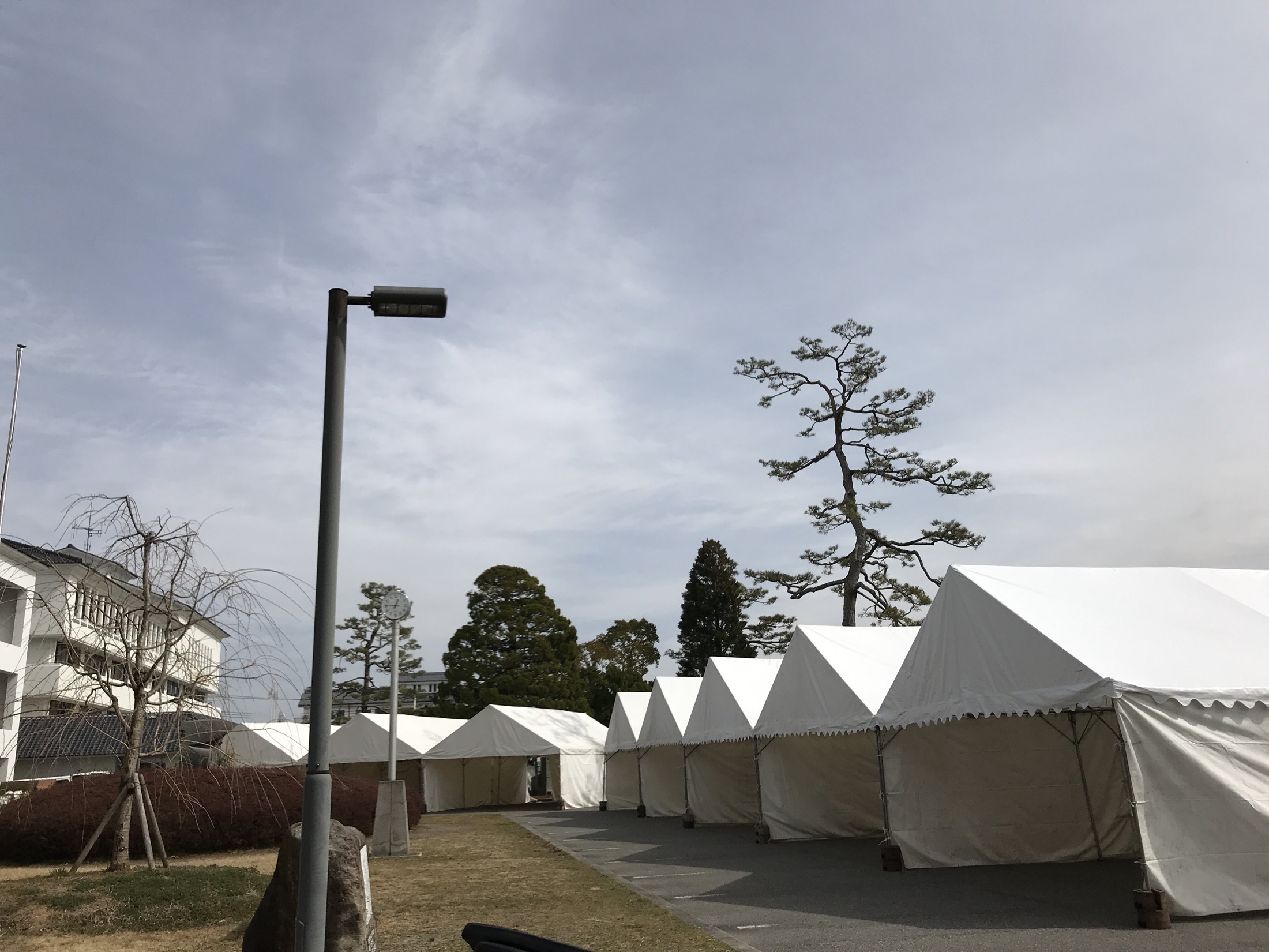 施設敷地に整列して設営されたテント群